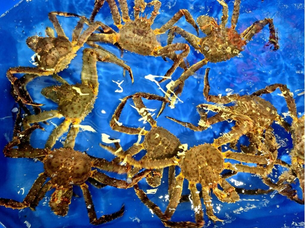 Utfordrende år for eksport av krabbe